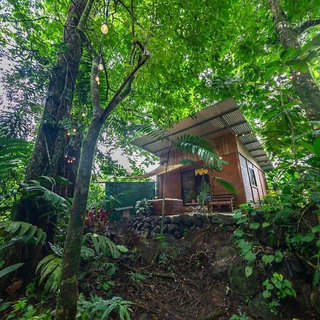 Appartamento The Frog House La Fortuna Esterno foto