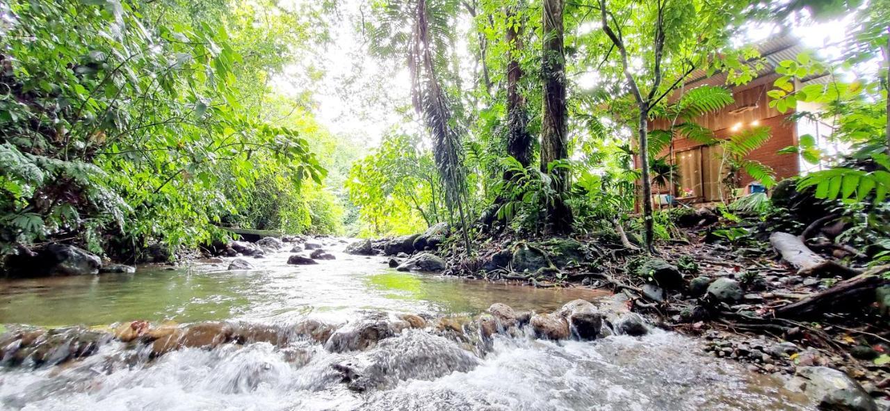 Appartamento The Frog House La Fortuna Esterno foto