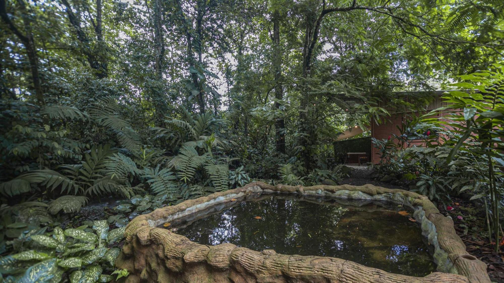 Appartamento The Frog House La Fortuna Esterno foto