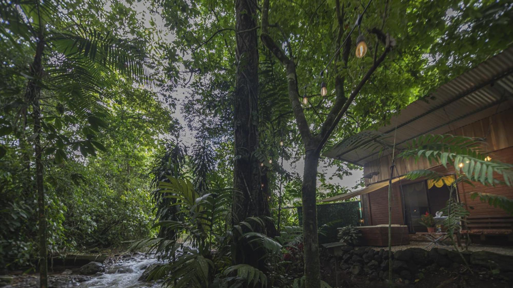 Appartamento The Frog House La Fortuna Esterno foto