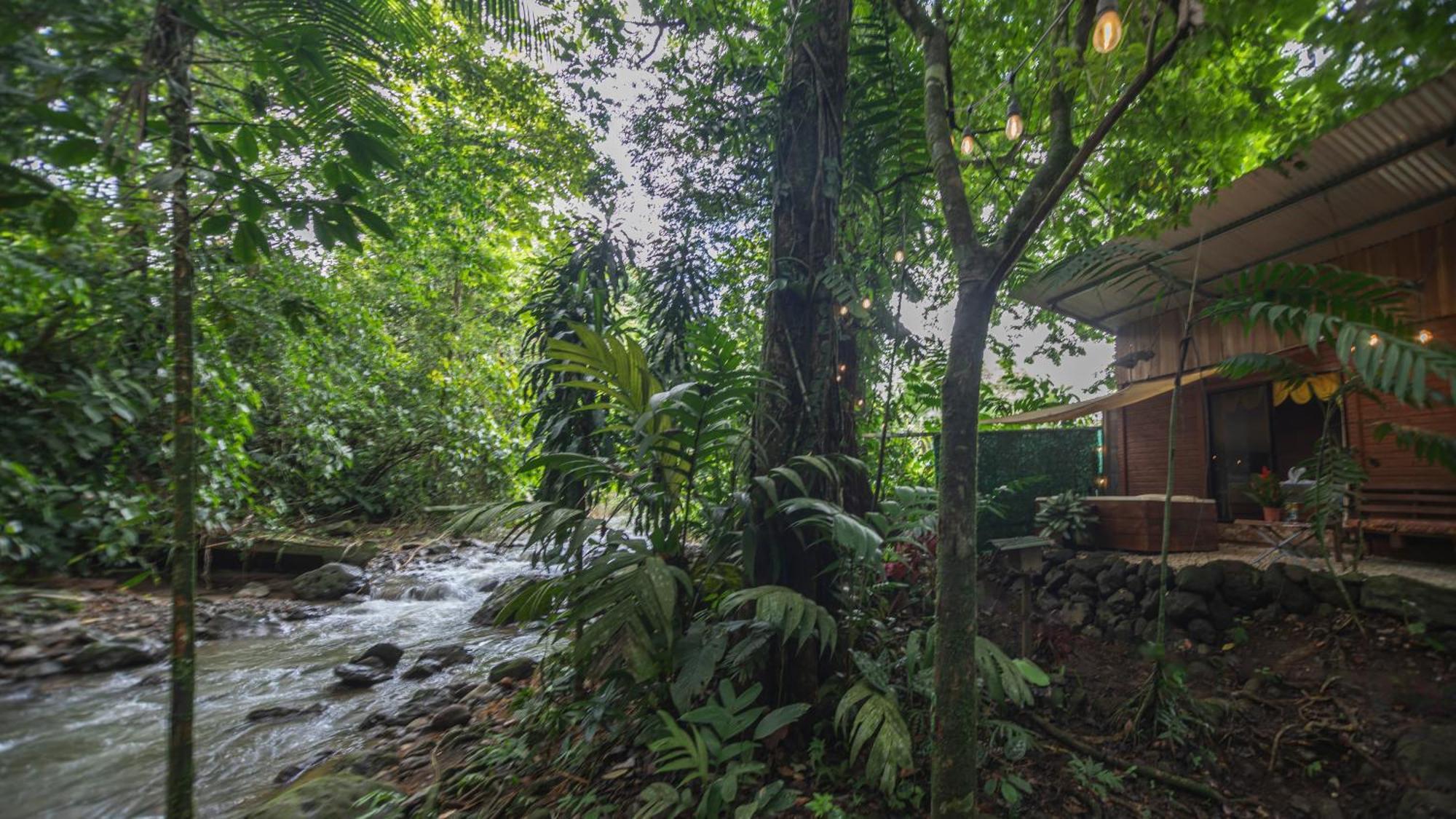 Appartamento The Frog House La Fortuna Esterno foto