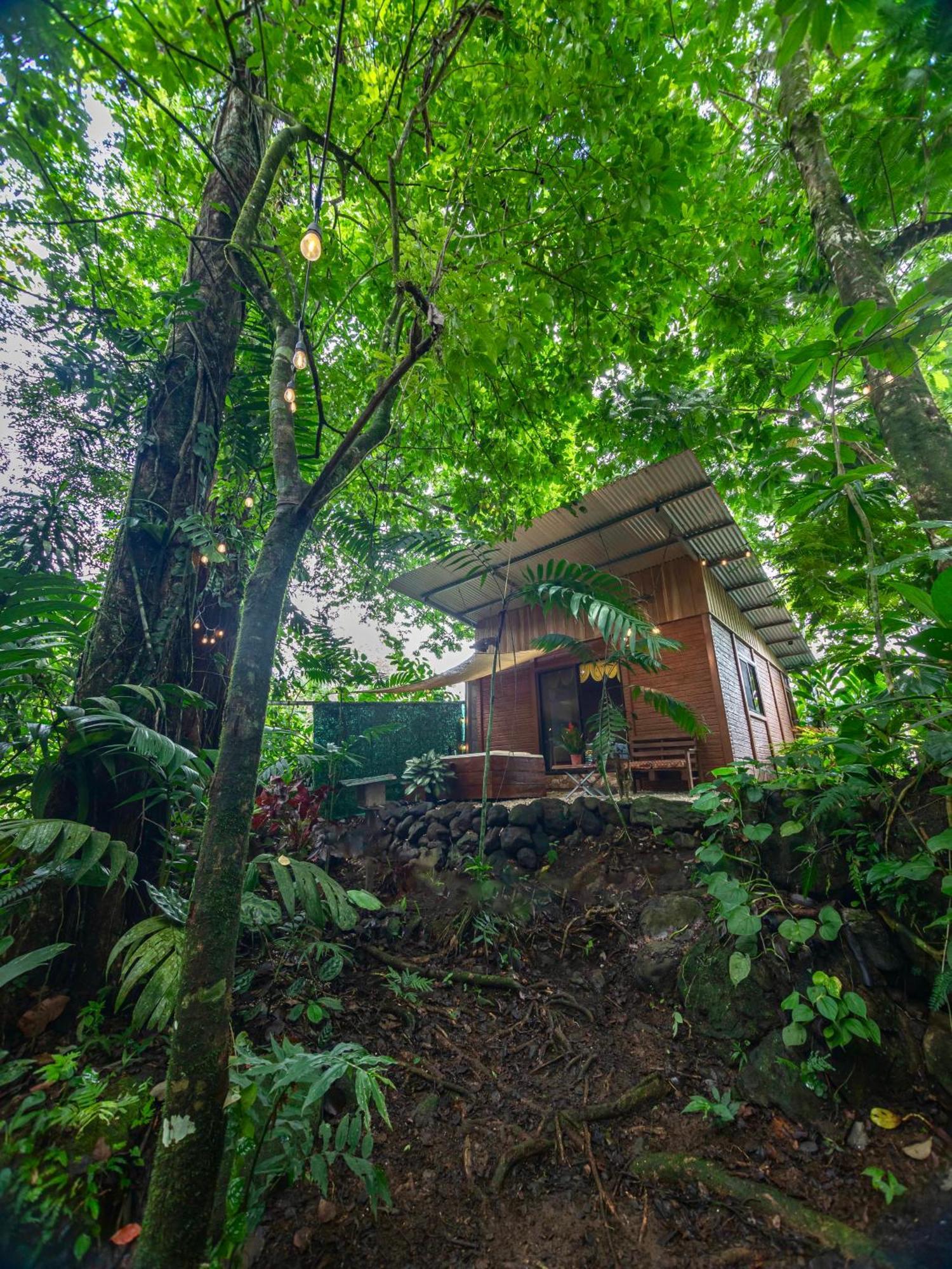 Appartamento The Frog House La Fortuna Esterno foto
